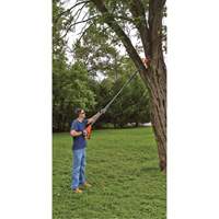 Max* Cordless Pole Pruning Saw Kit Toolneeds Inc.