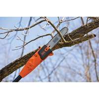 9-1/2' Pole Saw Toolneeds Inc.