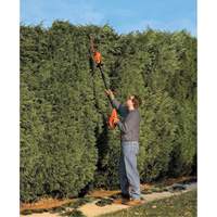 Max* Cordless Pole Hedge Trimmer Kit Toolneeds Inc.