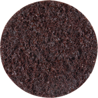 Disques de traitement des surfaces Standard Abrasives, 2" dia., Grain Cors&eacute; Toolneeds Inc.