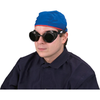 Lunettes &agrave; coque, Lentille 5,0, Anti-&eacute;gratignures, Ventilation Ferm&eacute; Toolneeds Inc.