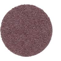 Disque PSA en toile 348D, 20" dia., Grain 50, Oxyde d'aluminium Toolneeds Inc.