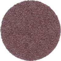 Meule en toile PSA 348D, 20" dia., Grain 60, Oxyde d'aluminium Toolneeds Inc.