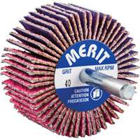 Shank Mounted Mini Flap Wheel, Ceramic Alumina, 40 Grit, 2" x 1" x 1/4" Toolneeds Inc.