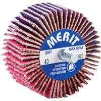 Threaded Mini Flap Wheel, Ceramic Alumina, 40 Grit, 2" x 1" x 1/4"-20 Toolneeds Inc.