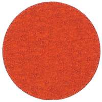 Blaze R980P Quick-Change Cloth Disc, 2" Dia., 60 Grit, Ceramic Alumina Toolneeds Inc.