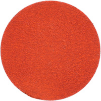 Blaze R980P Quick-Change Cloth Disc, 2" Dia., 120 Grit, Ceramic Alumina Toolneeds Inc.