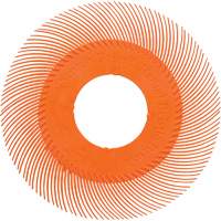 Brosse radiale en soies de pr&eacute;cision type C PN-RB sans adaptateur Scotch-Brite , C&eacute;ramique, Grain 80+, 6" dia. Toolneeds Inc.