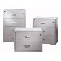 Fire Resistant Filing Cabinets, Steel, 4 Drawers, 38-3/4" W x 23-1/2" D x 55" H, Black Toolneeds Inc.