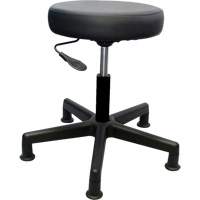 Tabouret de travail de s&eacute;rie 900, Stationnaire, Ajustable Hauteur, Capacit&eacute; 250 lb Toolneeds Inc.
