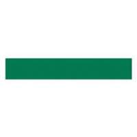 Write-On Magnetic Label, Magnetic, 600" L x 1" W Toolneeds Inc.