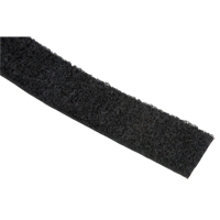 Bande d'attaches, Boucle, 50 vg x 1", Cousu, Noir Toolneeds Inc.