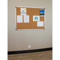Corkboard, 18" H x 24" W Toolneeds Inc.