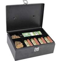 Coffre -caisse &agrave; loquet verrouillable Toolneeds Inc.