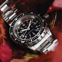 Grey Maple Large Diver's Automatic Watch with Stainless Steel Bracelet, Digital, Battery Operated, 41 mm, Silver Toolneeds Inc.