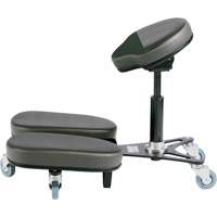 Chaise &agrave; genoux r&eacute;glable, Vinyle, Noir/gris Toolneeds Inc.