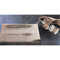 Peintures pour couvrir, Havane, 11 oz, Canette a&eacute;rosol Toolneeds Inc.