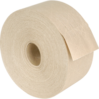 Ruban gomm&eacute; renforc&eacute;, 60 mm (2-9/25") x 137,2 m (450'), Kraft Toolneeds Inc.