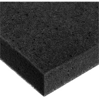 Foam Sheet, Standard, 2" Thick, 108" L x 24" W Toolneeds Inc.