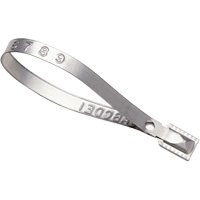 Scell&eacute;s Guard Lock, 8-3/8", M&eacute;tal, Scell&eacute; pour camion Toolneeds Inc.