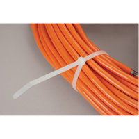 Cable Ties, 8" Long, 50 lbs. Tensile Strength, Natural Toolneeds Inc.