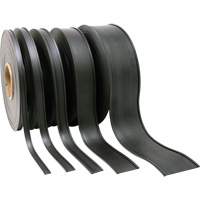 Card Holder, Magnetic, 600" L x 2" W Toolneeds Inc.