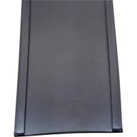 Card Holder, Magnetic, 600" L x 2" W Toolneeds Inc.