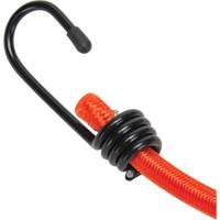 Bungee Cord Tie Downs, 18" Toolneeds Inc.