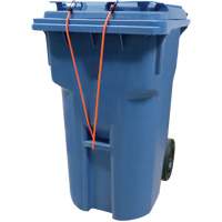 Bungee Cord Tie Downs, 18" Toolneeds Inc.