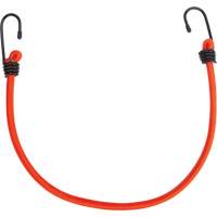 Bungee Cord Tie Downs, 18" Toolneeds Inc.