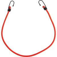 Bungee Cord Tie Downs, 30" Toolneeds Inc.