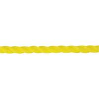 1/4" Braided Yellow Rope, Polypropylene, 1300' Toolneeds Inc.
