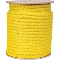 Braided Yellow Rope, Polypropylene, 300' Toolneeds Inc.