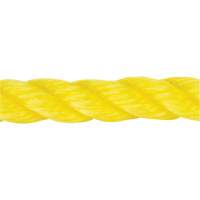 Braided Yellow Rope, Polypropylene, 144' Toolneeds Inc.