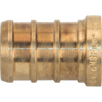 Capuchon de tuyau sans plomb, Tuyau, 1/2" dia., Laiton Toolneeds Inc.