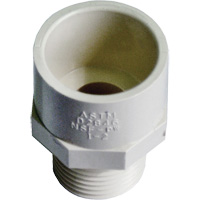 Adaptateur r&eacute;ducteur m&acirc;le, Noeud x MPT, 1/2" x 3/4" dia., PVC-C Toolneeds Inc.