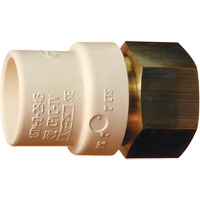Adaptateur de tuyau filet&eacute;, Noeud x FPT, 1" dia., Laiton/PVC-C Toolneeds Inc.