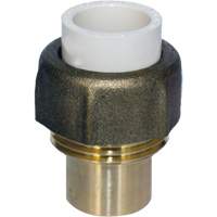 Raccord union, 1/2", PVC-C, Embout femelle x bras&eacute; Toolneeds Inc.