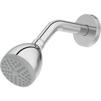 One-Function Showerhead Toolneeds Inc.