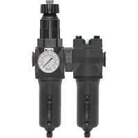 Filtre/r&eacute;gulateur + filtre coalescent drain manuel avec bol en m&eacute;tal Modulair 400, 1/4" NPT, 200 psi, Capacit&eacute; de 9,1 oz liq. Toolneeds Inc.