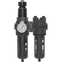 Filtre/d&eacute;tendeur & filtre coalescent Modulair 400 avec bol standard & drain manuel, 3/4" NPTF, 150 psi, Capacit&eacute; de 9,13 oz liq. Toolneeds Inc.