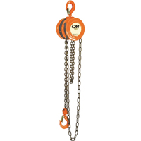 Chain Hoist, 10' Lift, 1000 lbs. (0.5 tons) Capacity, Steel Chain Toolneeds Inc.