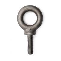 Eye Bolt, 5/8" Dia., 1-3/4" L, 4000 lbs. (2 tons) Capacity Toolneeds Inc.