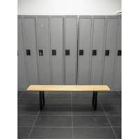 Locker Room Bench, Wood, 48" L x 9-1/4" W x 16-1/2" H Toolneeds Inc.