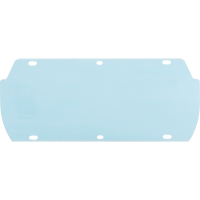 Visi&egrave;re Facetec en polycarbonate, Polycarbonate, Teinte Transparent Toolneeds Inc.
