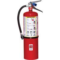 Fire Extinguisher, ABC, 10 lbs. Capacity Toolneeds Inc.
