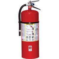 Fire Extinguisher, ABC, 20 lbs. Capacity Toolneeds Inc.