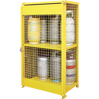 Gas Cylinder Cabinets, 12 Cylinder Capacity, 44" W x 30" D x 74" H, Yellow Toolneeds Inc.
