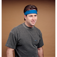 Serviette refroidissante standard, Bleu Toolneeds Inc.