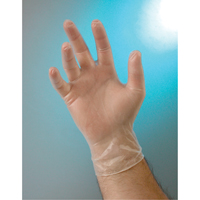 Examination Grade Gloves, Small, Vinyl, 4-mil, Powder-Free, Clear, Class 2 Toolneeds Inc.